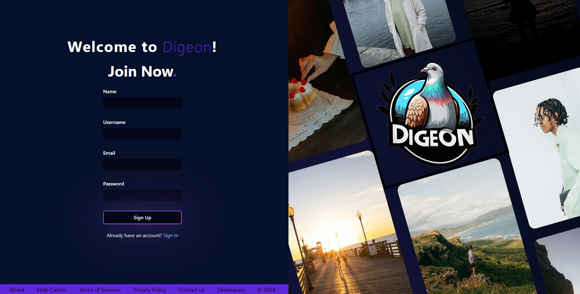 An image of the Digeon project.